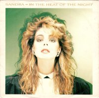 IN THE HEAT OF THE NIGHT [7"]